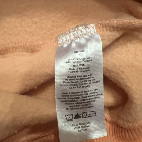 Nickelodeon The Rugrats Monsters Ren And Stimpy Hey Arnold Hoodie Size Large - Picture 4 of 6